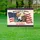 Bald Eagle Statue of Liberty 1776-2026 - USA 250th Anniversary Independence Day Yard Sign - 5