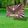 Bald Eagle 1776-2026 - American 250th Anniversary Independence Day Celebration Yard Sign - 4