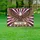 Bald Eagle 1776-2026 - American 250th Anniversary Independence Day Celebration Yard Sign - 5