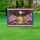 Bald Eagle American Flag 1776-2026 - USA 250th Anniversary Patriotic Fireworks Yard Sign - 5