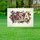 Patriotic USA Flag Letters 1776-2026 - Floral Poppies 250 Years of Freedom Celebration Yard Sign - 5