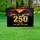 Bald Eagle 250 Years Still Wild Loud - USA 1776-2026 American Anniversary Gift Yard Sign - 5