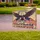 Bald Eagle American Flag 1776-2026 - USA 250th Anniversary Independence Day Gift for Veterans Yard Sign - 3