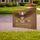 Bald Eagle American Flag Shield 1776-2026 - USA 250 Years Spirit of Independence Yard Sign - 3