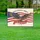 Bald Eagle American Flag Statue of Liberty 1776-2026 USA 250th Anniversary Independence Day Yard Sign - 5