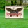Bald Eagle American Flag 1776-2026 - USA 250th Anniversary Patriotic Celebration Yard Sign - 5