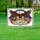 Bald Eagle American Flag 1776-2026 - USA 250th Anniversary Patriotic Gift for Veterans Yard Sign - 5