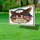 Bald Eagle American Flag 1776-2026 - USA 250th Anniversary Patriotic Gift for Veterans Yard Sign - 4