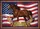 Bay Horse American Flag with Laurel Wreaths 1776-2026 - USA 250th Anniversary Yard Sign - 6