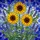 Sunflowers Lavender Tiffany Stained Glass Mosaic Jewel Tones High Contrast Full Frame Stained Glass Suncatcher - 5