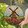 Dutch Windmill Tulip Field Tiffany Glass - Glowing Doorway Translucent Home Decor Stained Glass Suncatcher - 2