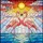 Two Flamingos Heart Stained Glass Jewel Tone - Radiant Sunset Nature Birds Art Stained Glass Suncatcher - 5