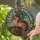 Majestic Colorful Dragon Coiled Books Teacup Stained Glass Tiffany Style Jewel Tones Stained Glass Suncatcher - 2
