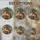Majestic Colorful Dragon Coiled Books Teacup Stained Glass Tiffany Style Jewel Tones Stained Glass Suncatcher - 4