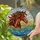 Tiffany Stained Glass Horse Head Art - Vibrant Jewel Tone Landscape Hills Water Clouds Stained Glass Suncatcher - 2