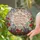 Daughter Mother Love Message Butterfly Wildflower Tiffany Stained Glass Art Gift From Mom Stained Glass Suncatcher - 2