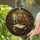 Detailed Wise Owl Stained Glass Ancient Book Lit Candle Crimson Roses Wisdom Art Stained Glass Suncatcher - 2