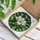White Magnolia Flower Tiffany Stained Glass Mosaic Art, Intricate Geometric Dappled Light Stained Glass Suncatcher - 3