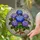 Vibrant Hydrangea Blossoms Tiffany Stained Glass Jewel Tones Mosaic Crackled Stained Glass Suncatcher - 2