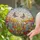 Tiffany Style Jewel Tone Stained Glass Meadow Flowers & Butterflies Gradient Sky Stained Glass Suncatcher - 2