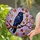 Black Crow Tiffany Stained Glass Mosaic Autumn Leaves - Glowing Red Eyes Window Art Stained Glass Suncatcher - 2
