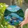 Loon Family with Chicks, Water Lilies & Lake Forest - Tiffany Style Stained Glass Decor Stained Glass Suncatcher - 2