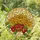 Golden Brown French Fries Ketchup Cherry Tomato Parsley Stained Glass Tiffany Style Art Stained Glass Suncatcher - 1