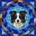 Border Collie Australian Shepherd Dog Stained Glass Mosaic - Tiffany Style Pet Gift Stained Glass Suncatcher - 5