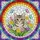 Grey Tabby Kitten Stained Glass Spring Flowers Rainbow Mosaic - Home Decor Gift for Cat Lovers Stained Glass Suncatcher - 5