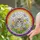 Grey Tabby Kitten Stained Glass Spring Flowers Rainbow Mosaic - Home Decor Gift for Cat Lovers Stained Glass Suncatcher - 2