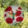 Iridescent Hummingbird Red Poppy Stained Glass Art - Tiffany Style Jewel Tone Floral Stained Glass Suncatcher - 1