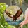 Bald Eagle Flight Stained Glass Mountain Lake Sun Rays - Translucent Tiffany Style Art Stained Glass Suncatcher - 2