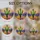 Saguaro Cactus Pink Bloom Desert Lotus Smaller Cacti Tiffany Glass Sunset Landscape Stained Glass Suncatcher - 4