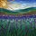 Lavender Flower Field Stained Glass Sun & Mosaic Hills Tiffany Style Window Display Stained Glass Suncatcher - 5