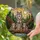 Majestic Gray Wolf & Cubs Suncatcher - Tiffany Stained Glass Forest with Sun Glow Art Stained Glass Suncatcher - 2