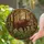 Shaggy Wild Boar Forest Art - Dappled Sunlight Tiffany Stained Glass Undergrowth Stained Glass Suncatcher - 2