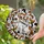 French Bulldog Charlie Squatting Tiffany Style Glass 2025 Feces Charm Jewel Tones Stained Glass Suncatcher - 2