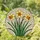 Three Daffodil Flowers Stained Glass Mosaic - Tiffany Style Floral Decor Jewel Tones Stained Glass Suncatcher - 1