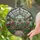 Stained Glass Greenhouse Interior Potted Plants Tiffany Style Luminous Mosaic Stained Glass Suncatcher - 2