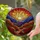 Glowing Sunset Layered Mountains Changing Leaves - Tiffany Style Edge-to-Edge Stained Glass Art Stained Glass Suncatcher - 2