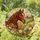 Brown Horse Head Max Stained Glass Wildflower Rural Barn Landscape Tiffany Style Stained Glass Suncatcher - 1