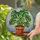 Lush Monstera Plant Stained Glass Window Decor - Terracotta Pot Mosaic Abstract Art Stained Glass Suncatcher - 2