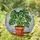 Lush Monstera Plant Stained Glass Window Decor - Terracotta Pot Mosaic Abstract Art Stained Glass Suncatcher - 1