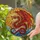 Tiffany Stained Glass Dragon Sun Ocean Mosaic - Rising, Coiled Mythical Creature Stained Glass Suncatcher - 2