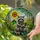 Cute Raccoon Sunflower Stained Glass Mosaic - Tiffany Jewel Tones Intricate Forest Art Stained Glass Suncatcher - 2