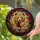 Mama Bear Est. 2024 Mother Cub Stained Glass Mosaic Art - New Mom Mother's Day Present Stained Glass Suncatcher - 2