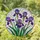 Purple Iris Flowers Stained Glass Mosaic - Tiffany Style Jewel Tone Floral Home Decor Stained Glass Suncatcher - 1