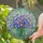 Morning Glory Tiffany Glass Floral - Intricate Blossom Mosaic Edge-to-Edge Stained Glass Art Stained Glass Suncatcher - 2