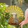 Stained Glass Tiffany Two Tabby Cats - Radiant Sunburst Sunrise Sunset Window Decor Stained Glass Suncatcher - 2