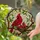 Red Cardinal Bird Nest with Babies, Tiffany Style Stained Glass Home Decor Gift Stained Glass Suncatcher - 2